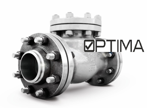 Клапан обратный 19лс76нж Ру16 Ду100