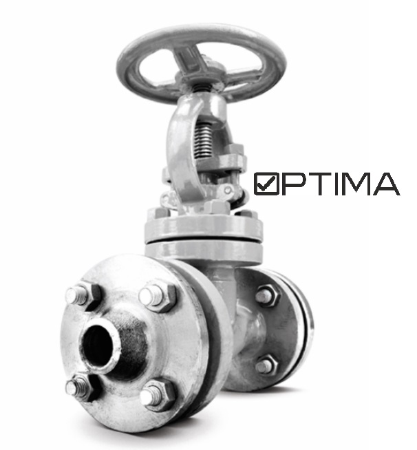 Клапан запорный 15с65нж Ру16 Ду50