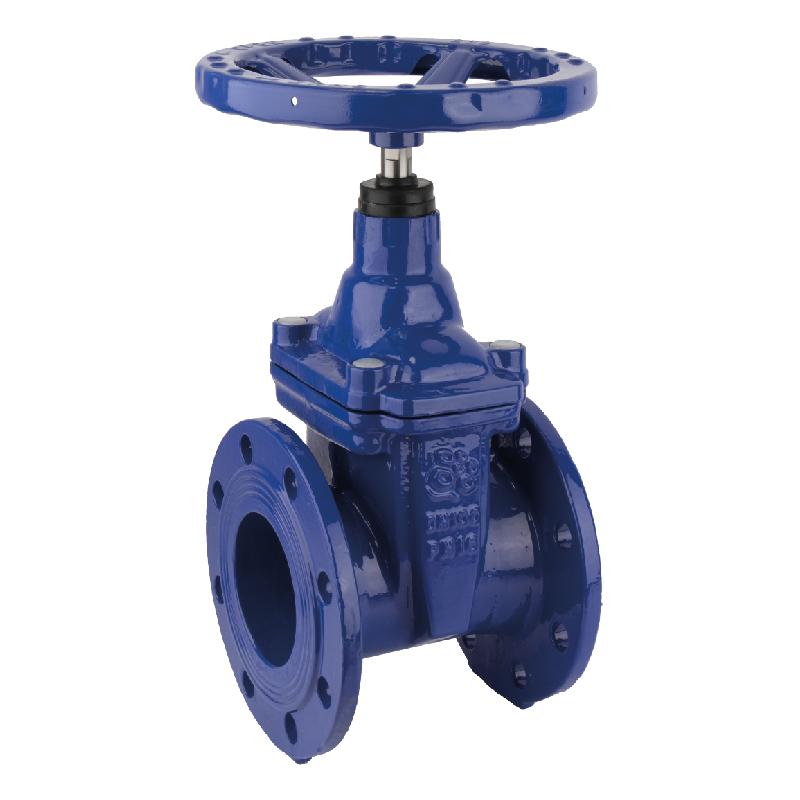 Задвижка с обрезиненным клином чугунная RUSHWORK 101 PN16