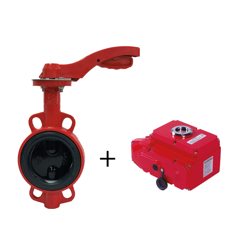 Затвор Рашворк с электроприводом